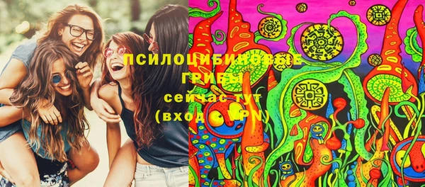 твердый Покачи
