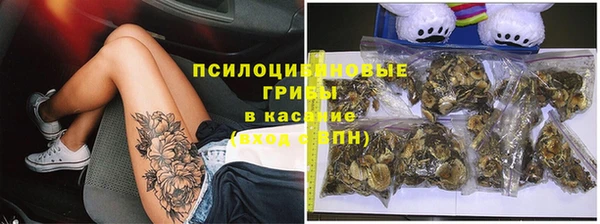 сатива Алзамай