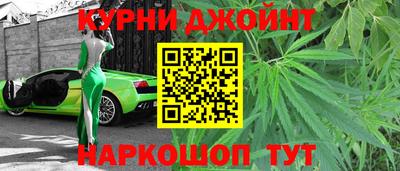 шишки Заводоуковск