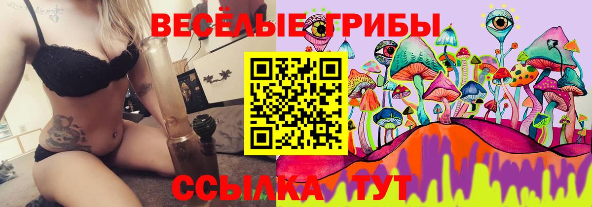 Псилоцибиновые грибы Magic Shrooms Нефтекумск