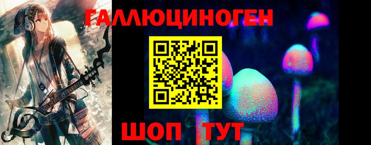 Галлюциногенные грибы Psilocybe  Вход с VPN  Галлюциногенные грибы Cubensis  наркотики  Нефтекумск 