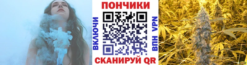 Бошки Шишки сатива  MEGA ССЫЛКА  Нефтекумск 